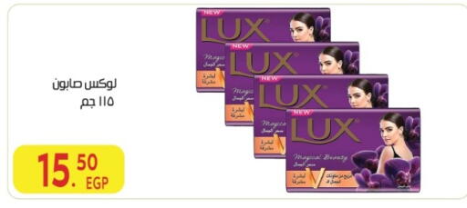available at المحلاوي ماركت in Egypt - القاهرة