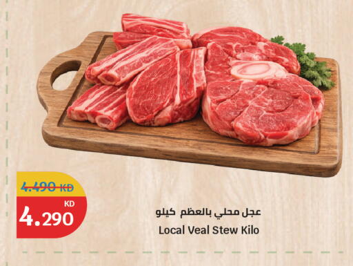 available at سيتي هايبرماركت in الكويت - محافظة الجهراء