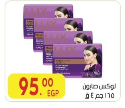 available at المحلاوي ماركت in Egypt - القاهرة