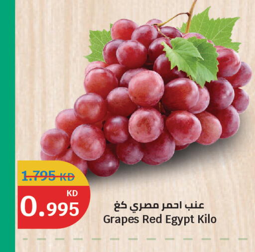 Grapes from Egypt available at سيتي هايبرماركت in الكويت - محافظة الجهراء