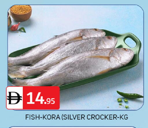 available at سوق طلال in الإمارات العربية المتحدة , الامارات - دبي