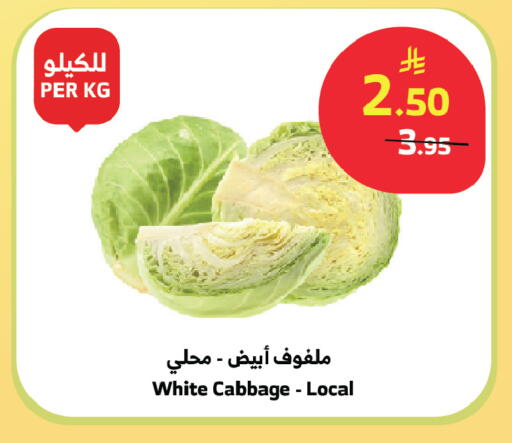 Cabbage available at الراية in مملكة العربية السعودية, السعودية, سعودية - الباحة