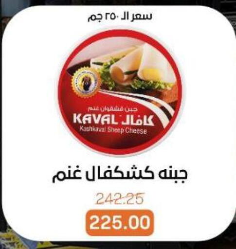 available at بيت الجملة in Egypt - القاهرة