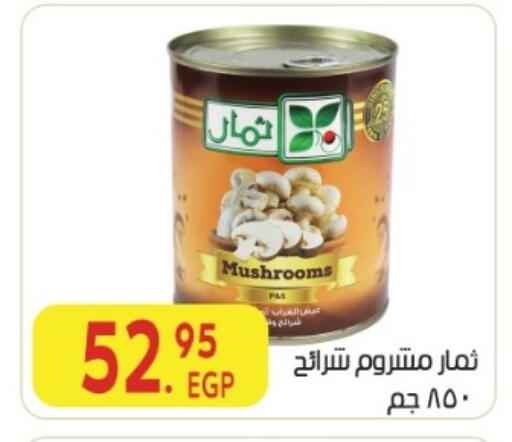available at المحلاوي ماركت in Egypt - القاهرة