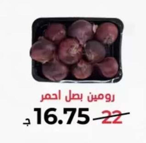 in Egypt - القاهرة