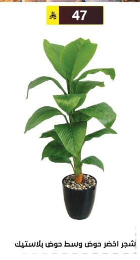 available at الحسين توب أب in مملكة العربية السعودية, السعودية, سعودية - الرياض