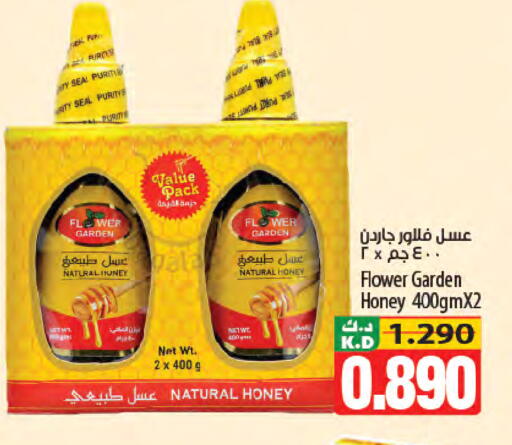 Mango available at Mango Hypermarket  in Kuwait - Jahra Governorate