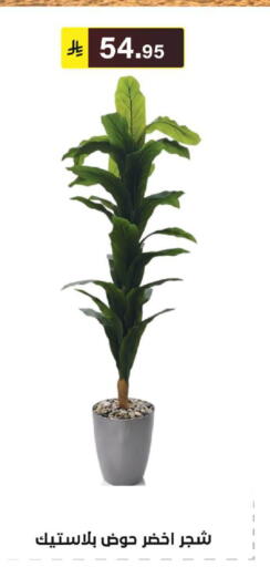 available at الحسين توب أب in مملكة العربية السعودية, السعودية, سعودية - الرياض