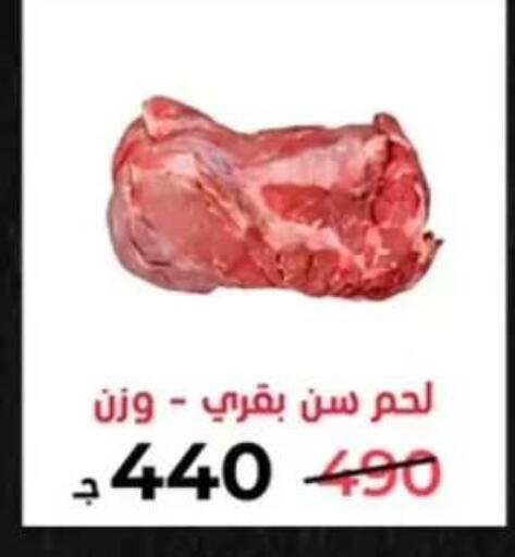 in Egypt - القاهرة