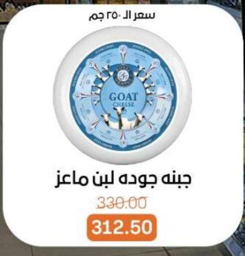available at بيت الجملة in Egypt - القاهرة