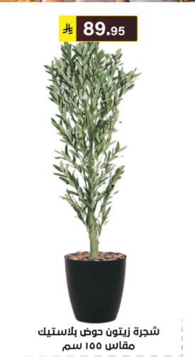available at الحسين توب أب in مملكة العربية السعودية, السعودية, سعودية - الرياض