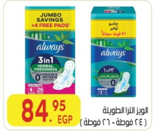 available at المحلاوي ماركت in Egypt - القاهرة