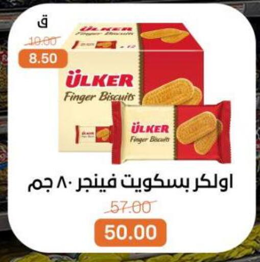 available at بيت الجملة in Egypt - القاهرة