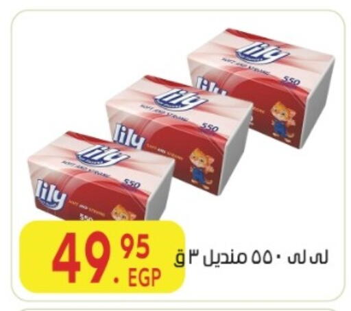 available at المحلاوي ماركت in Egypt - القاهرة