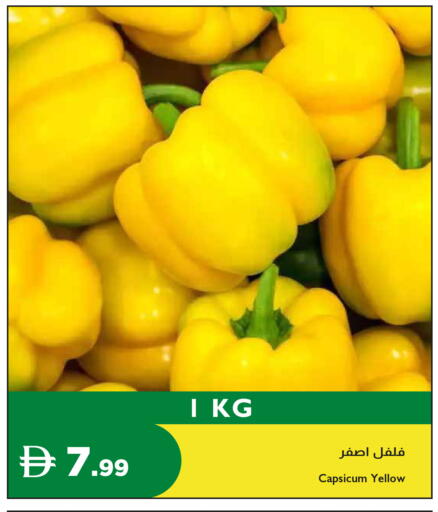 Capsicum available at إسطنبول سوبرماركت in الإمارات العربية المتحدة , الامارات - دبي