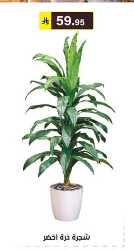 available at الحسين توب أب in مملكة العربية السعودية, السعودية, سعودية - الرياض