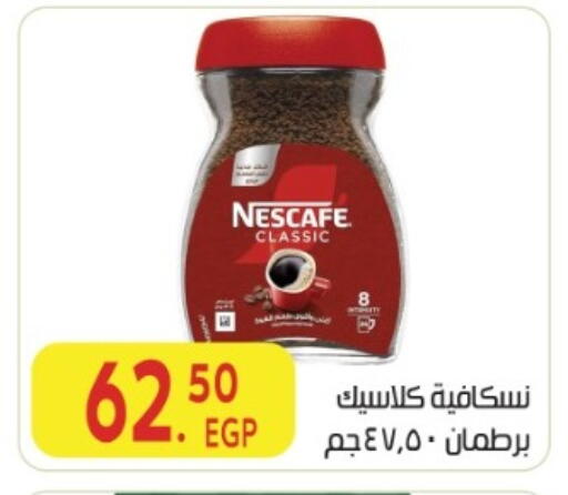 available at المحلاوي ماركت in Egypt - القاهرة