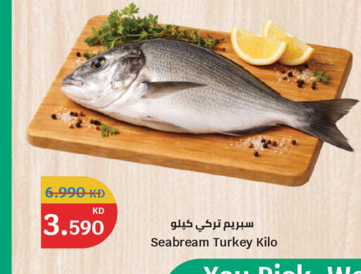 available at سيتي هايبرماركت in الكويت - محافظة الجهراء