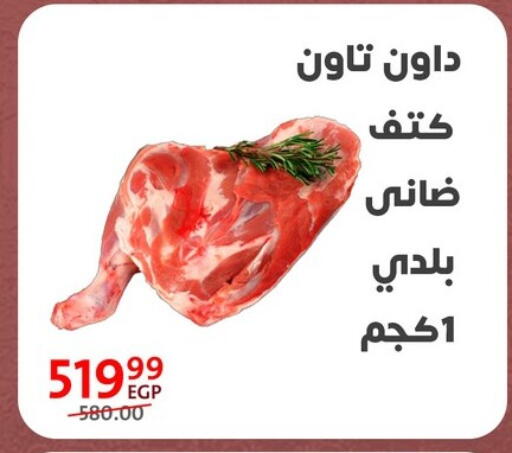 available at Arab DownTown in Egypt - Cairo