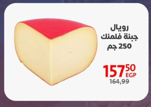 available at Arab DownTown in Egypt - Cairo