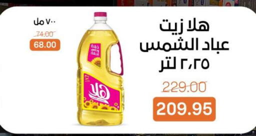 available at بيت الجملة in Egypt - القاهرة