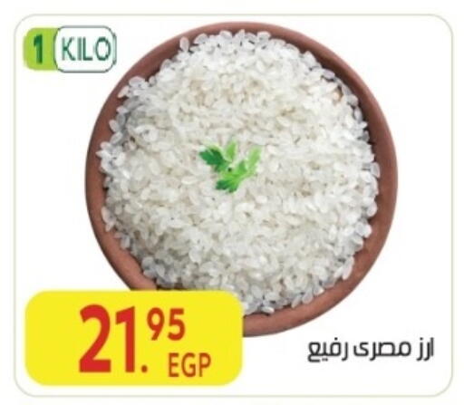available at المحلاوي ماركت in Egypt - القاهرة