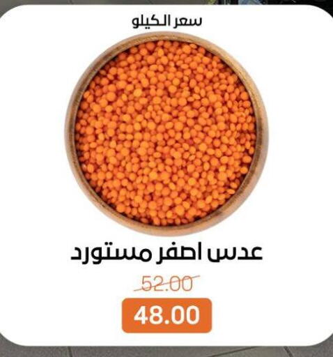 available at بيت الجملة in Egypt - القاهرة