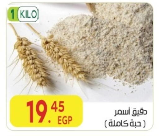 available at المحلاوي ماركت in Egypt - القاهرة