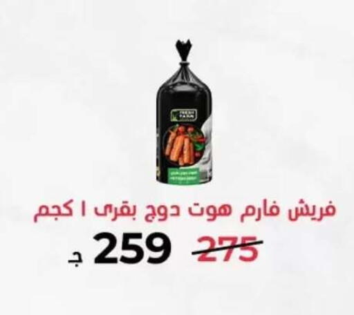 in Egypt - القاهرة