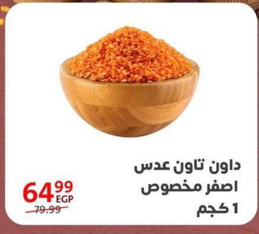available at Arab DownTown in Egypt - Cairo