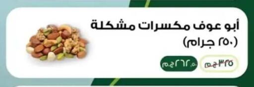 in Egypt - القاهرة