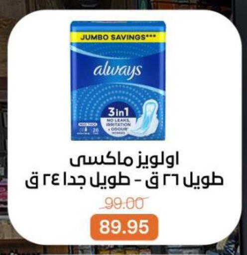 available at بيت الجملة in Egypt - القاهرة