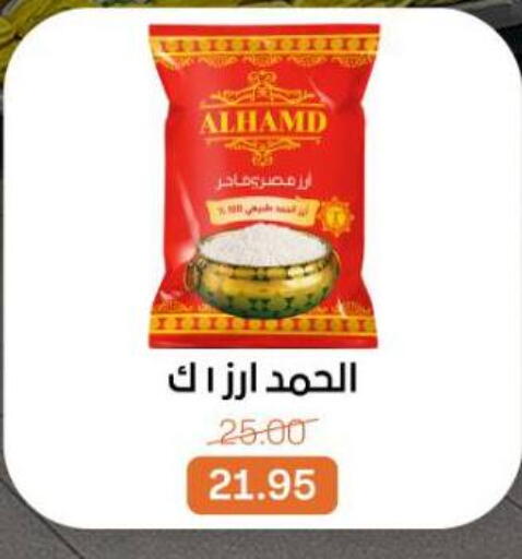available at بيت الجملة in Egypt - القاهرة