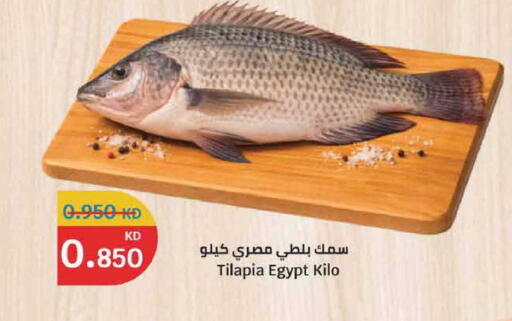 available at سيتي هايبرماركت in الكويت - مدينة الكويت