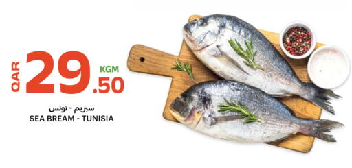 available at Al Baladi Al Yawm in Qatar - Al Wakra