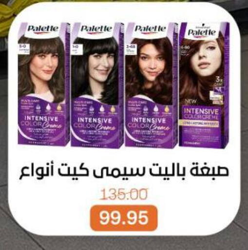 available at بيت الجملة in Egypt - القاهرة