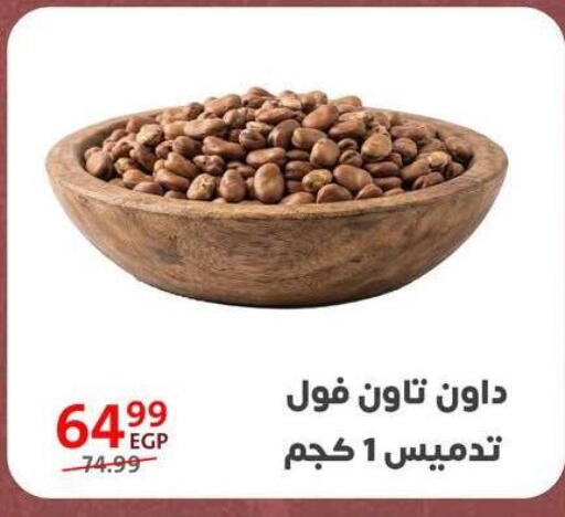 available at Arab DownTown in Egypt - Cairo
