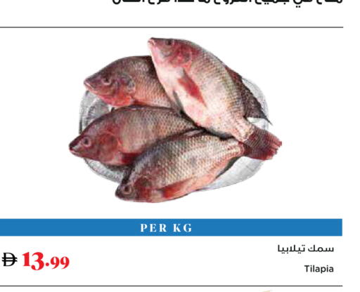 available at تروليز سوبرماركت in الإمارات العربية المتحدة , الامارات - دبي