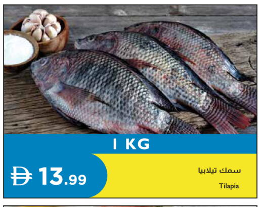available at إسطنبول سوبرماركت in الإمارات العربية المتحدة , الامارات - دبي