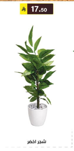 available at الحسين توب أب in مملكة العربية السعودية, السعودية, سعودية - الرياض