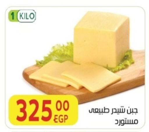 available at المحلاوي ماركت in Egypt - القاهرة