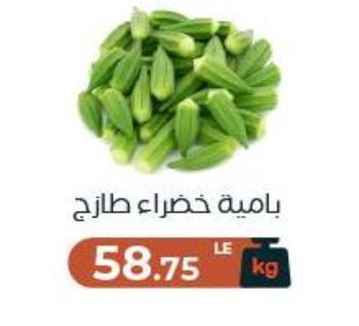 available at عرفة ماركت in Egypt - القاهرة