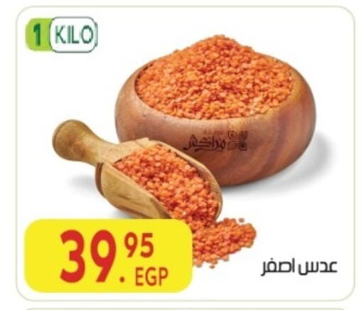 available at المحلاوي ماركت in Egypt - القاهرة