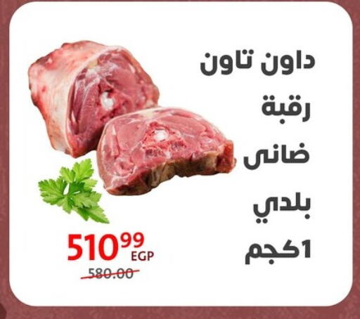 available at Arab DownTown in Egypt - Cairo