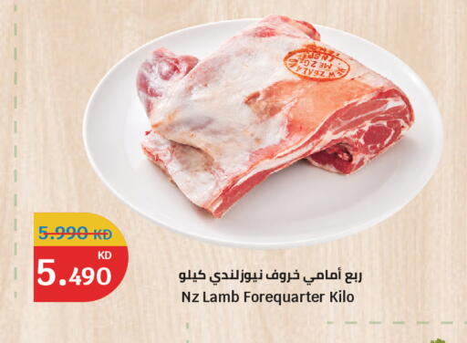 available at سيتي هايبرماركت in الكويت - محافظة الجهراء