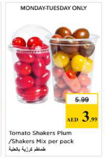 Plum Tomato available at Nesto Hypermarket in UAE - Abu Dhabi
