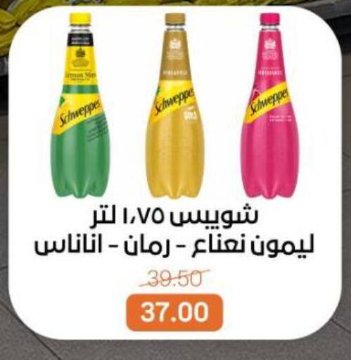 available at بيت الجملة in Egypt - القاهرة