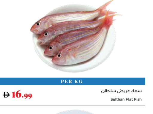 available at تروليز سوبرماركت in الإمارات العربية المتحدة , الامارات - دبي