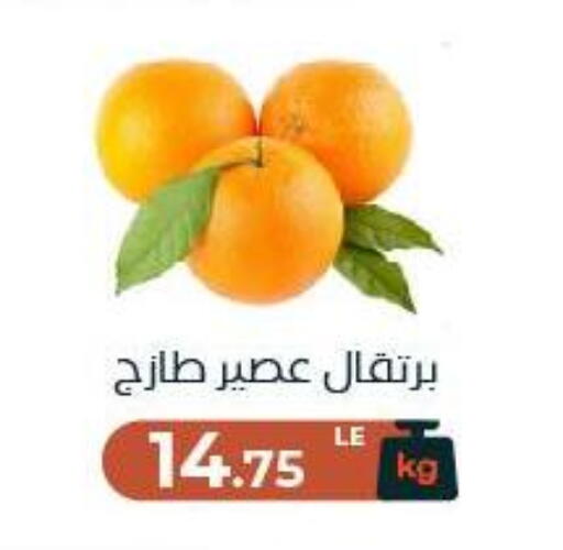available at عرفة ماركت in Egypt - القاهرة