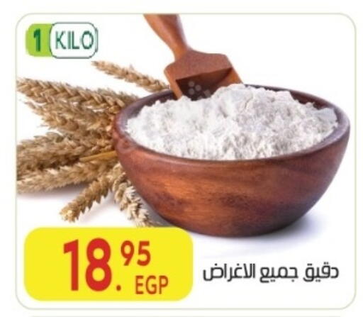 available at المحلاوي ماركت in Egypt - القاهرة